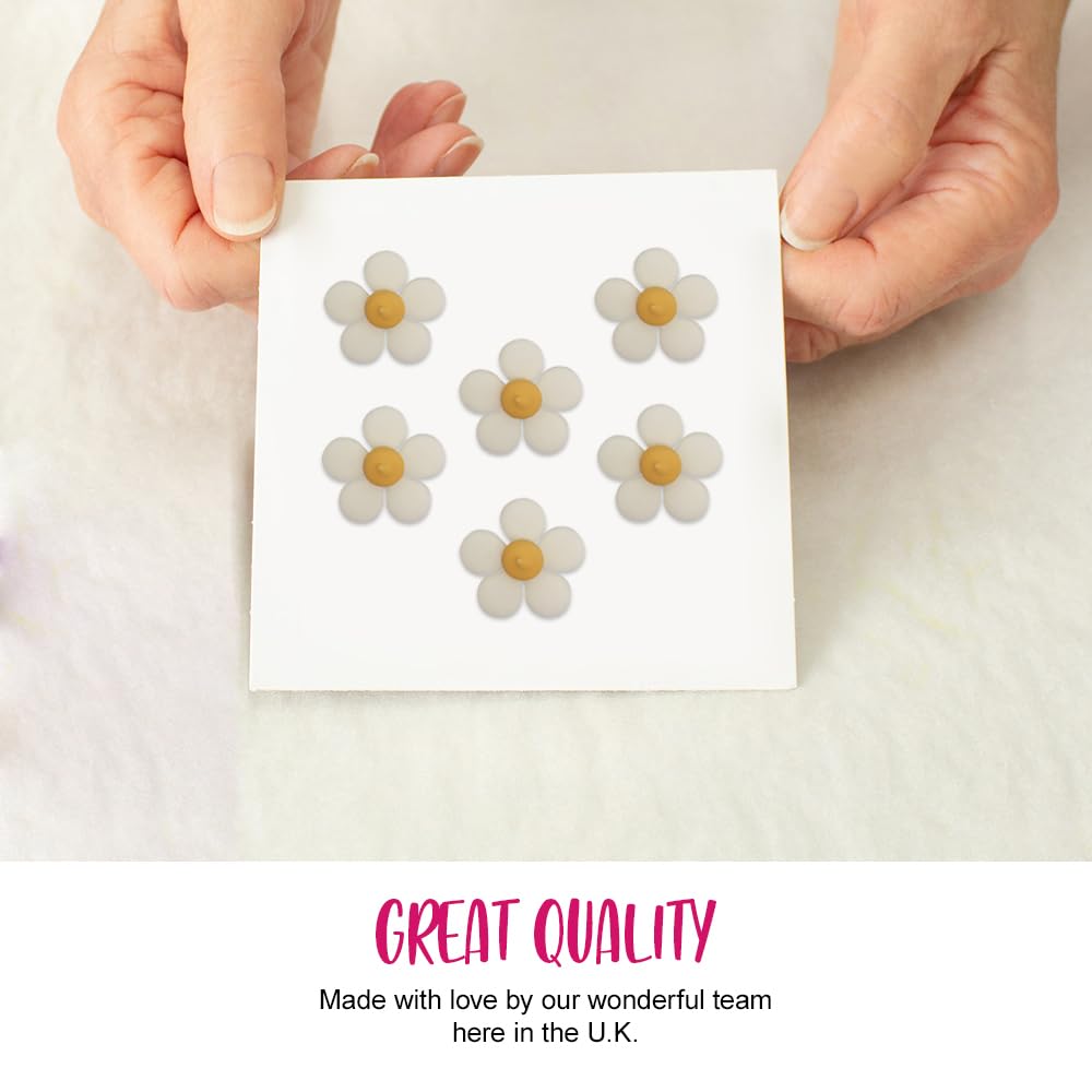 Anniversary House - White Daisy Summer Floral Edible Cake Decorations