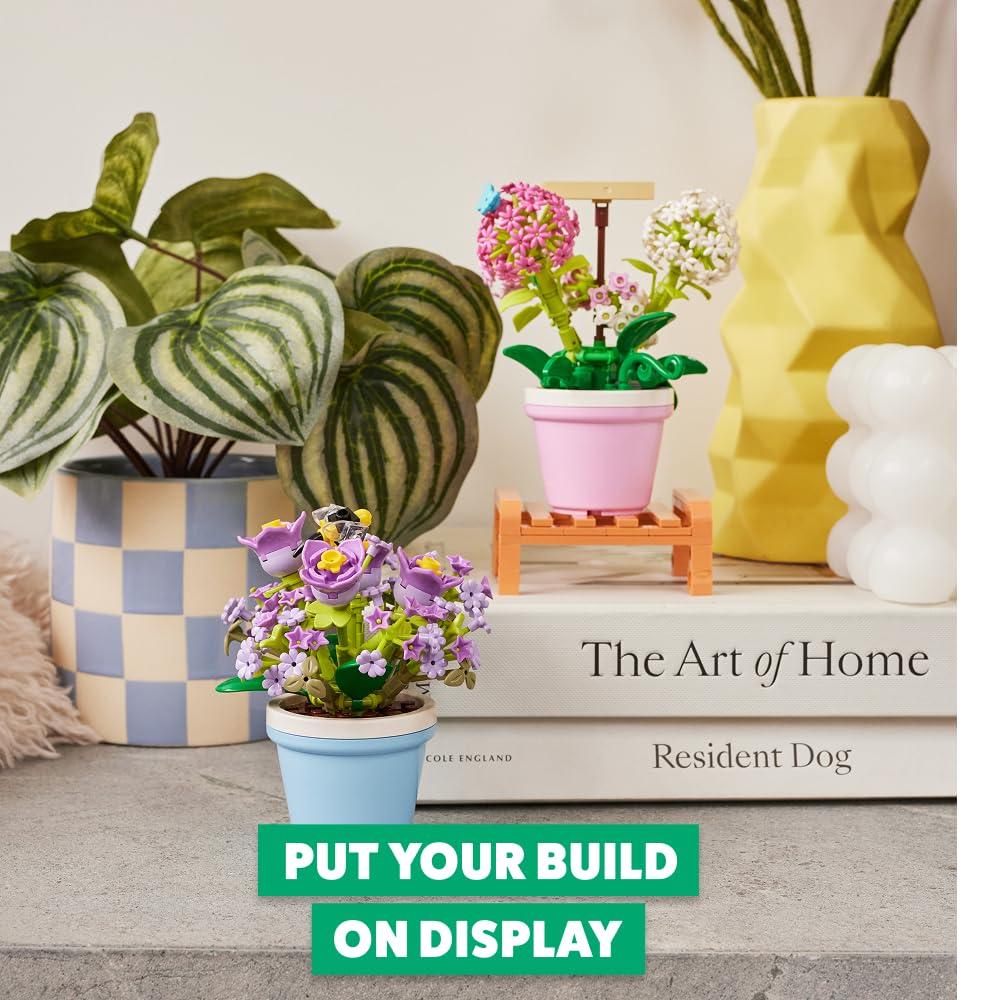 MAX Premium Garden Pot Plants Building Bricks - Hydrangea Macrophylla (1 Capsule, 3+ Years)