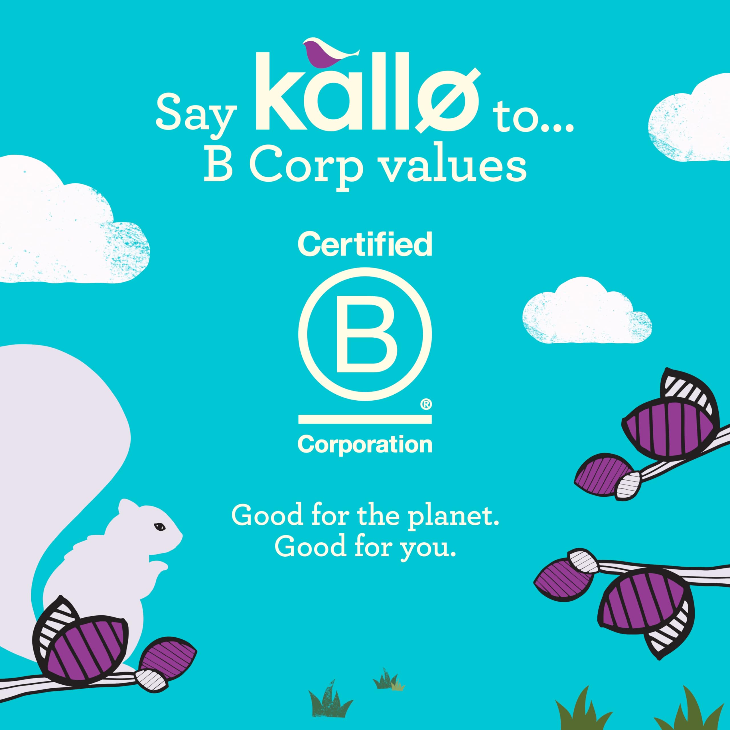 Kallo Belgian Milk Chocolate Mini Rice Cakes, 9 x 84g