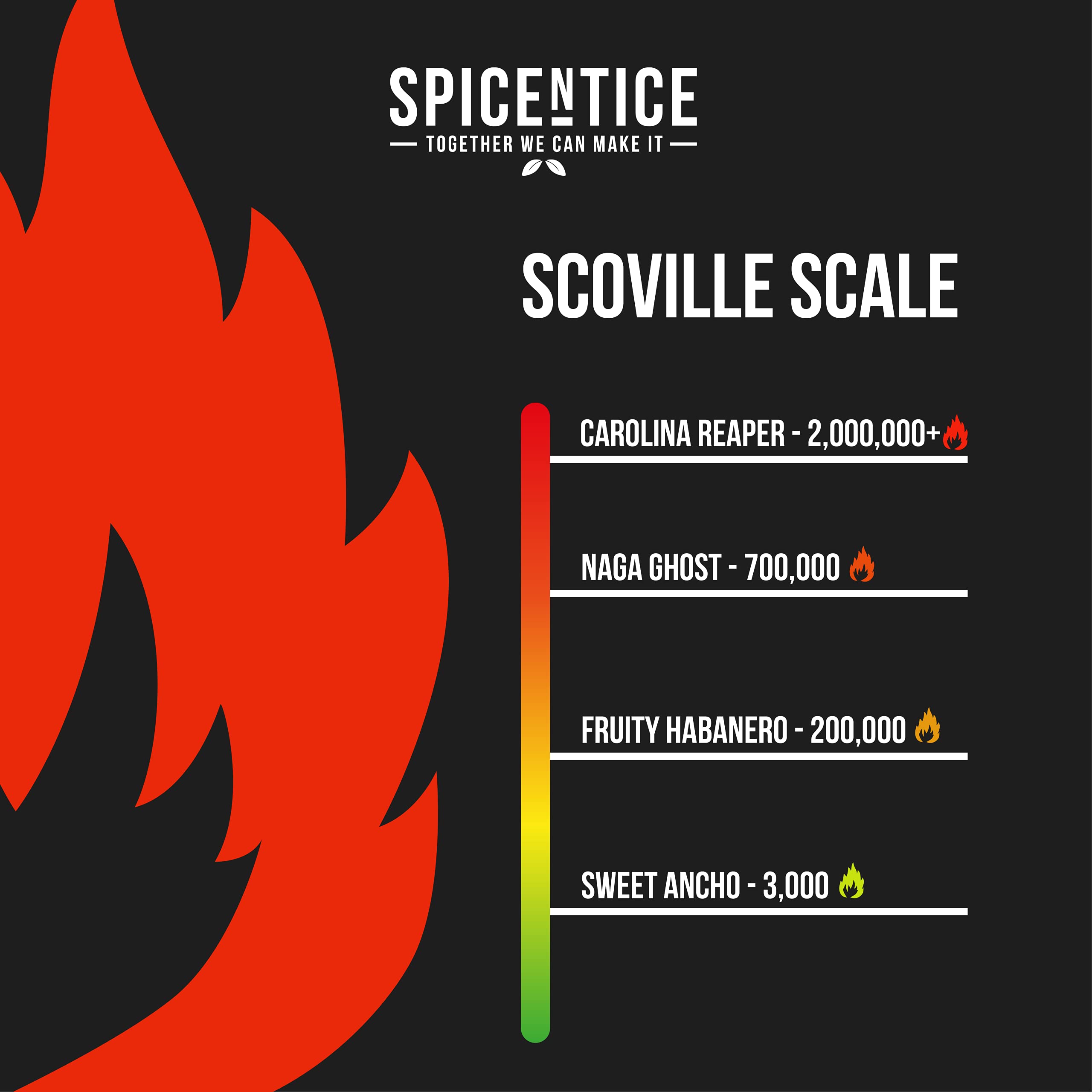 Spicentice Ltd Sweet Ancho Chili Powder, Mexican Chilli, 55 g