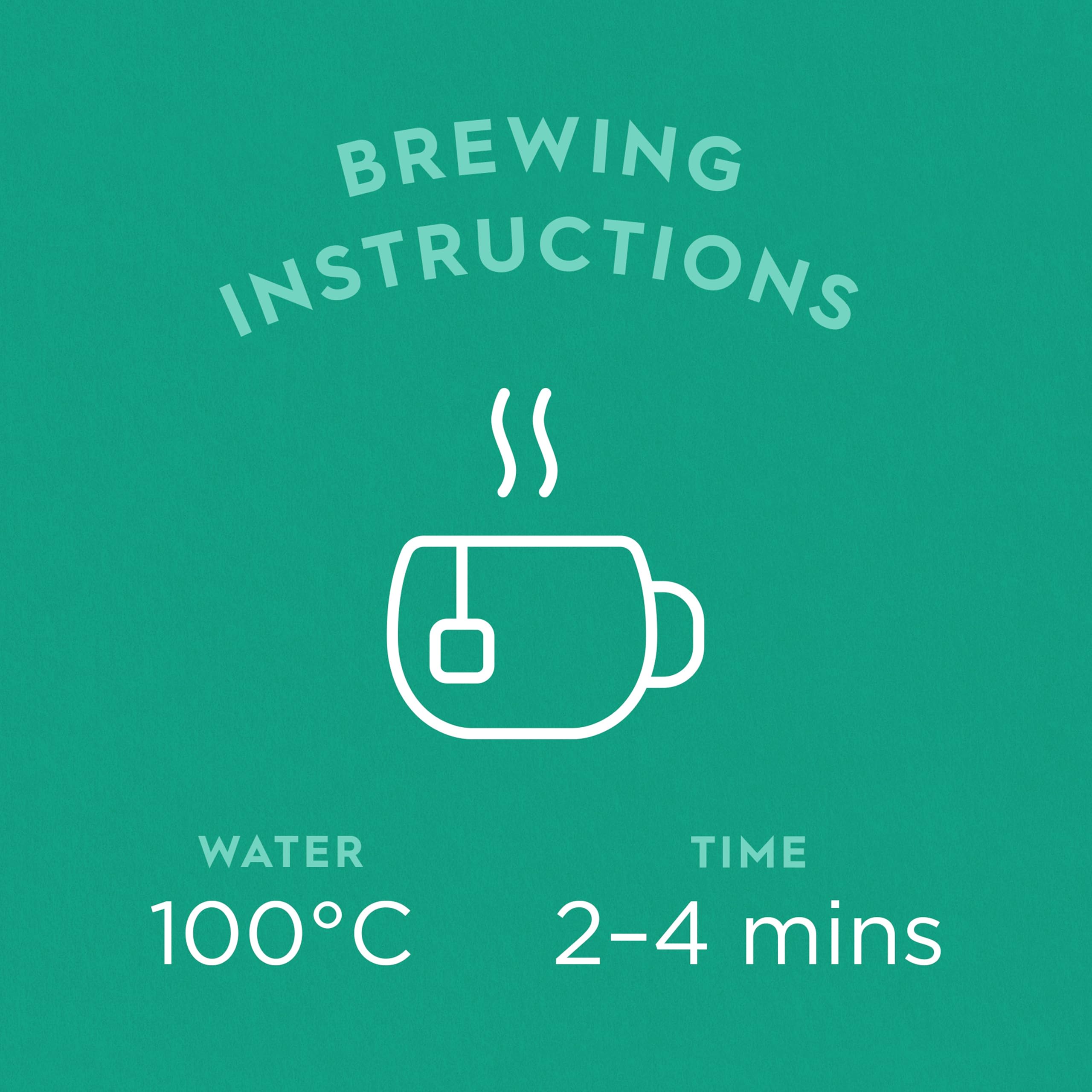 Dragonfly - Three Mint Medley Organic Tea Bags (4 x 20), Peppermint, Spearmint & Lemon Mint