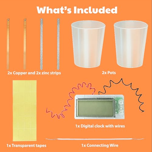 Science Museum Potato Clock - Educational Science Kit 10