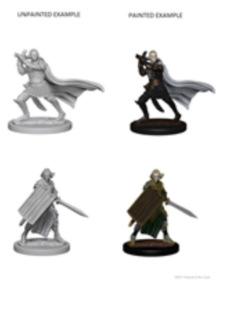 Dungeons & Dragons Elf Male Paladin (Pathfinder: Deep Cuts) - Cardstock Board Game Accessory