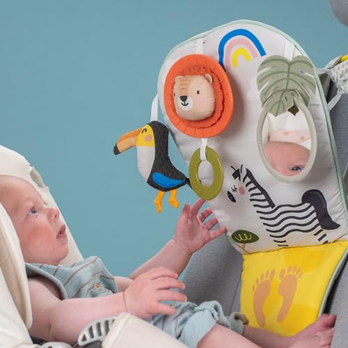 Taf Toys Savannah Play & Kick Car Toy - Sensory Activity Toy for Rear-Facing Babies 3