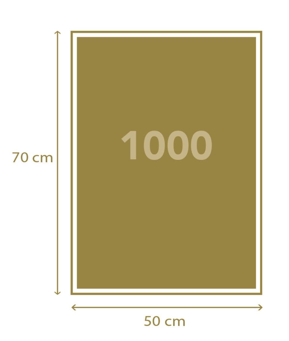 Clementoni Death Note Anime Jigsaw Puzzle - 1000 Pieces | 70 x 50 cm 7
