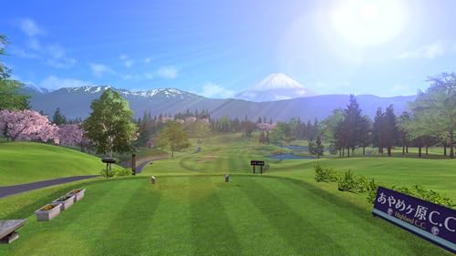 Everybody's Golf Hotshots - Nintendo Switch 3