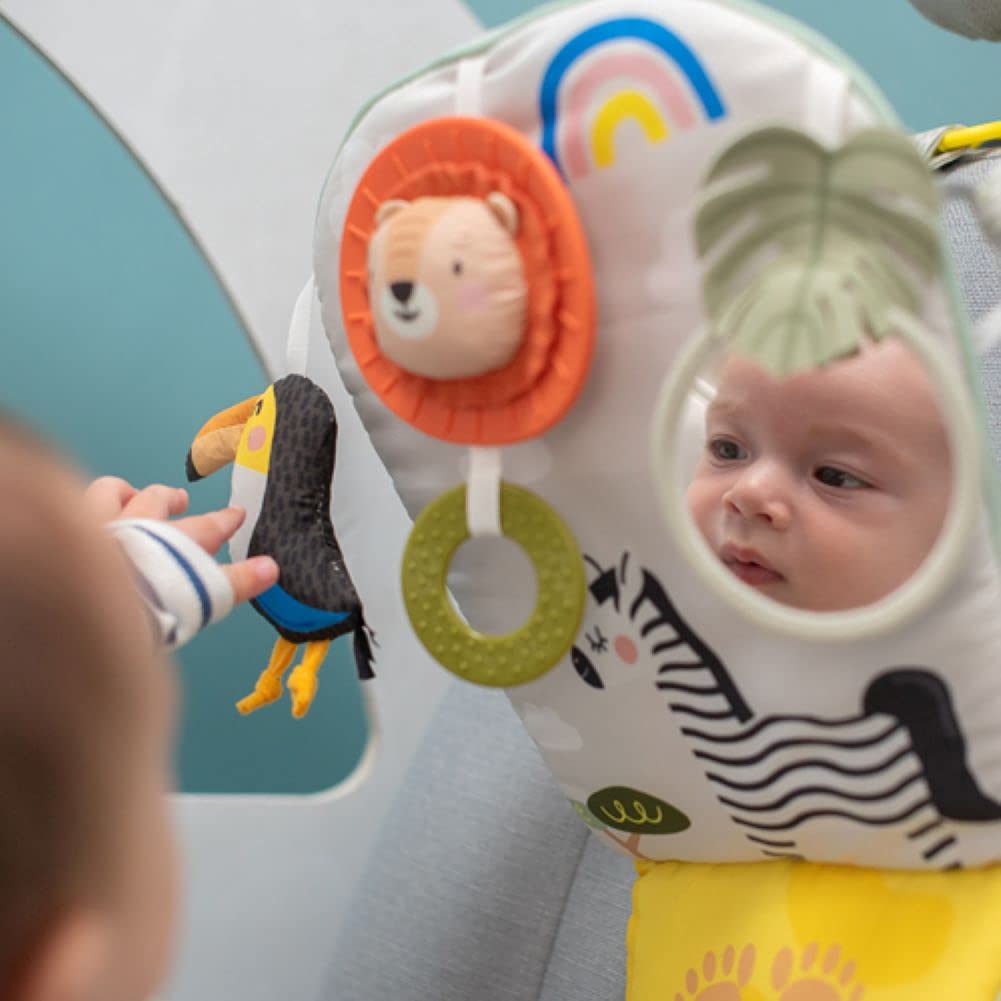 Taf Toys Savannah Play & Kick Car Toy - Sensory Activity Toy for Rear-Facing Babies 4