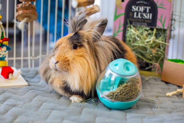 Oxbow Enriched Life Wobble Teaser - Small Animal Food Dispensing Toy for Rabbits & Guinea Pigs 6