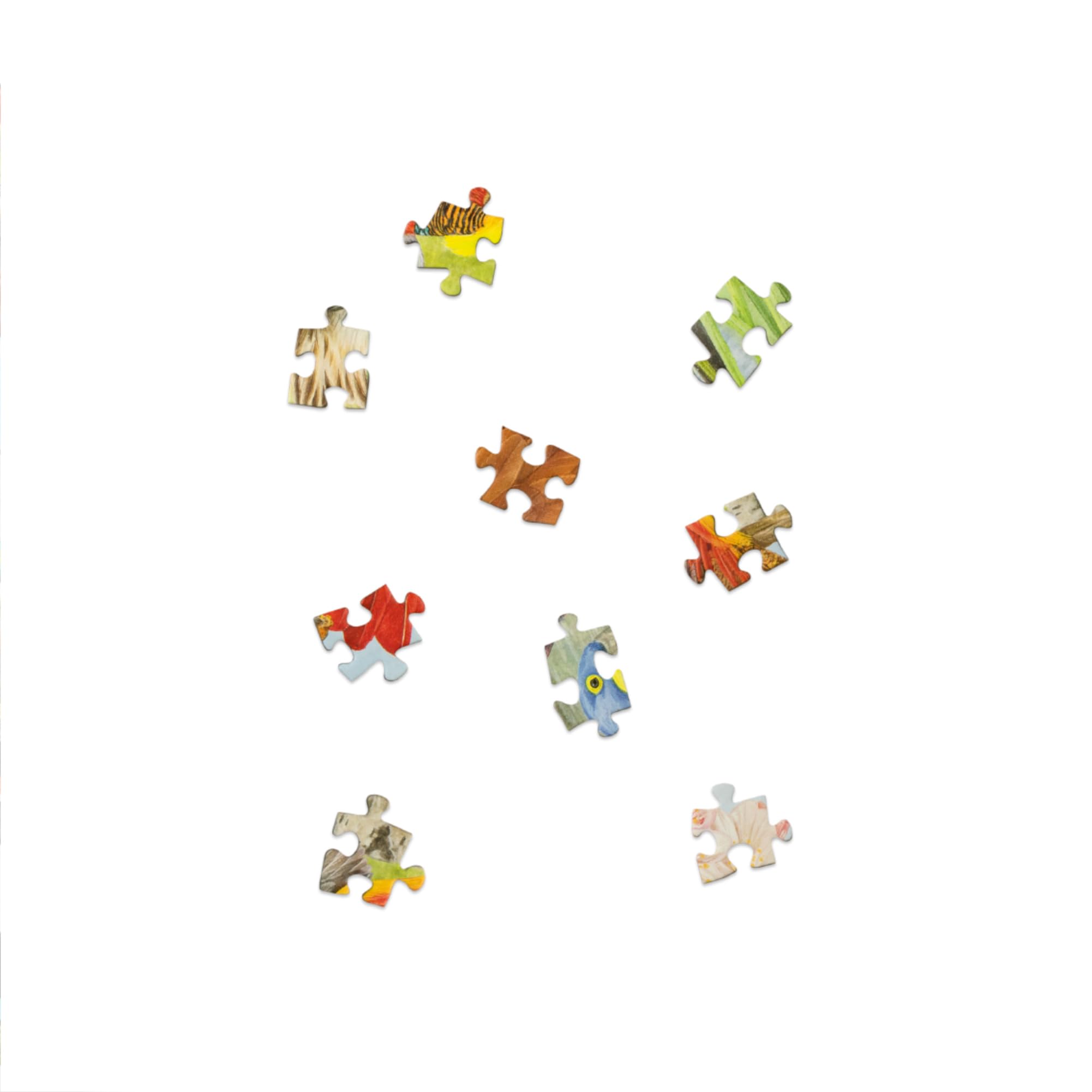 Around the World in 50 Birds: 1000-Piece Jigsaw Puzzle by Laurence King Publishing 10