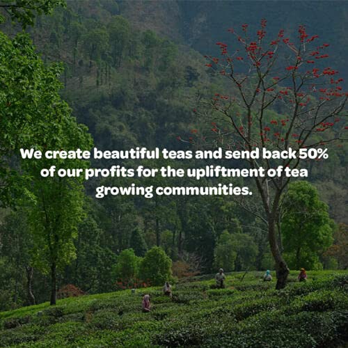 Tea People Russian Caravan Loose Tea - Blend of Keemun, Lapsang Souchong & Oolong | 125g Caddy 4