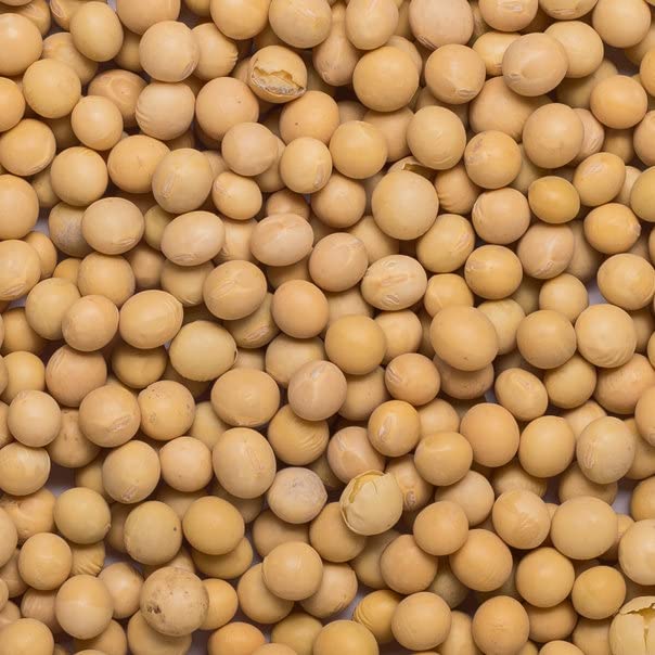 Wholefood Earth Organic Soya Beans - 1kg | High Fibre | Vegan | GMO Free 4