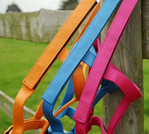 Rhinegold Field Safe Headcollar - Cob Size | Metal Free | Raspberry Nylon Webbing