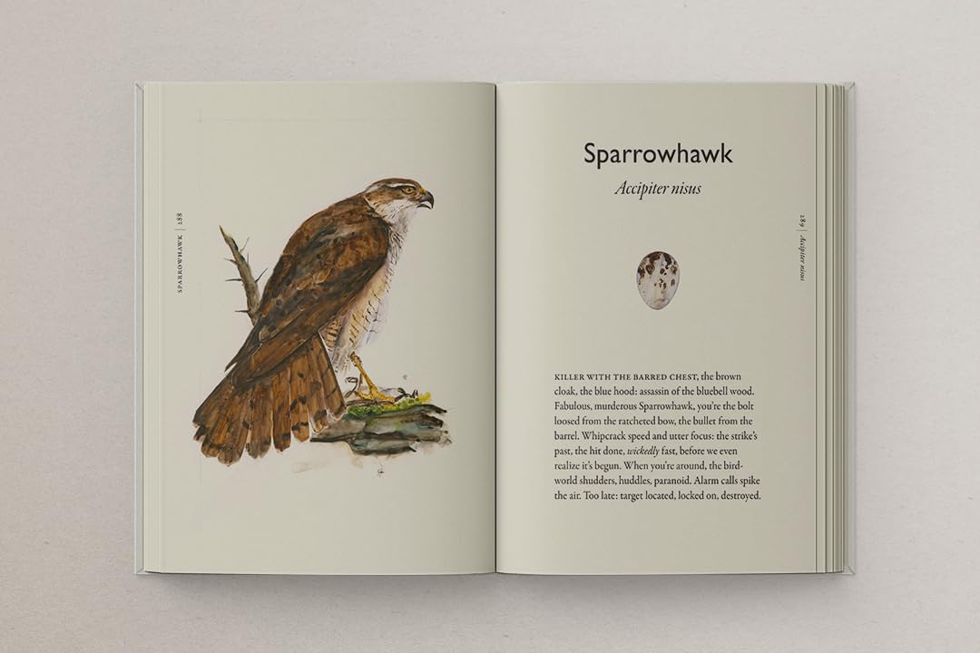 Morris & Macfarlane - The Book of Birds | Hardcover Field Guide to Declining British Bird Species 5