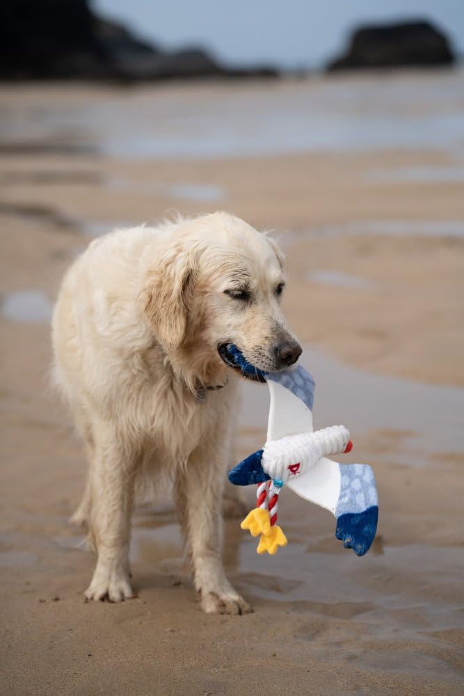 Petface Sammi The Seagull Plush Dog Toy - Soft Cuddle & Play 5