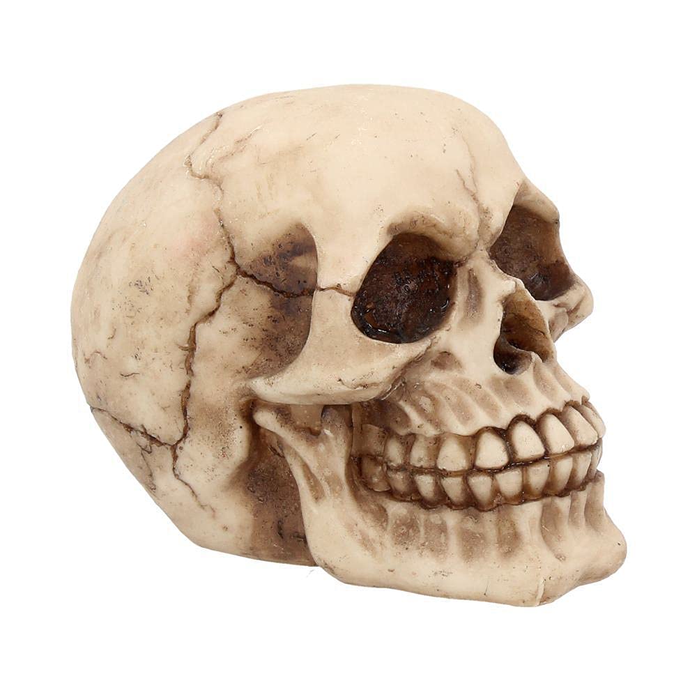 Nemesis Now Joker-Totenkopf, dekoratives Ornament aus Kunstharz
