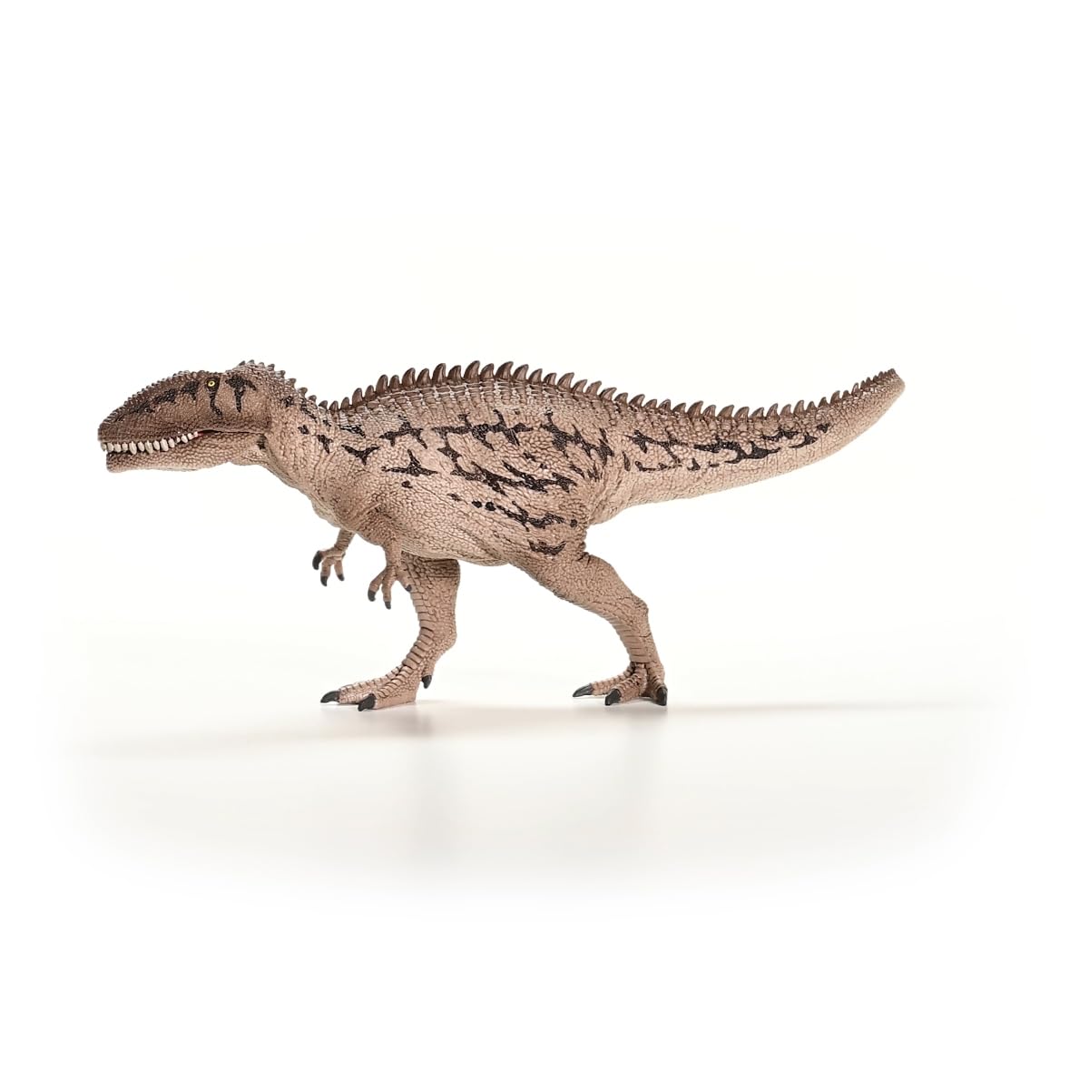 Schleich 15048 Carcharodontosaurus Dinosaur Figurine - Realistic Prehistoric Play Figure for Ages 3+ 4