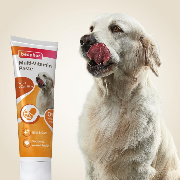 Beaphar Multi-Vitamin Paste for Dogs - L-Carnitine, Omega 3 & 6, 100g