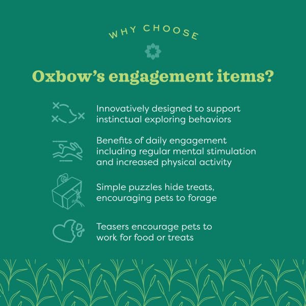 Oxbow Enriched Life Garden Dig Box - Natural Paper Chew Toy for Small Animals | Lightweight & Portable 3