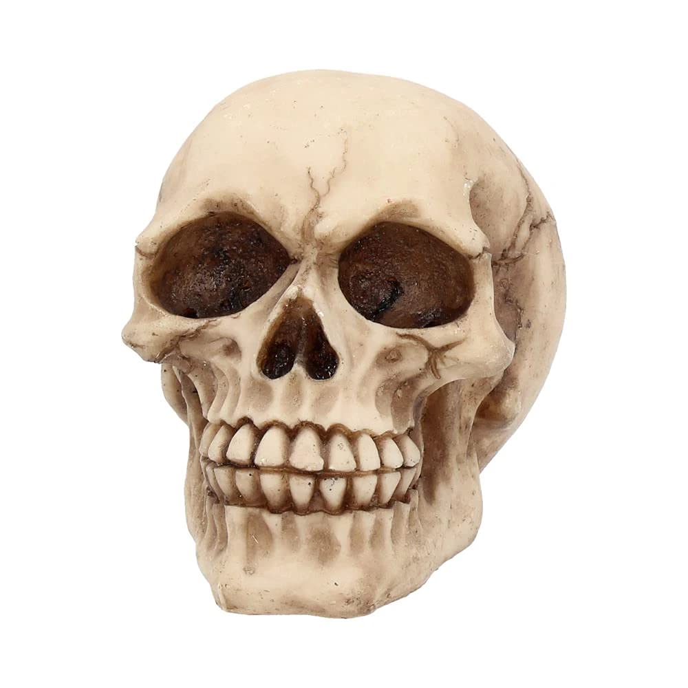 Nemesis Now Joker-Totenkopf, dekoratives Ornament aus Kunstharz