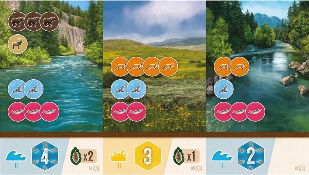 AEG Cascadia Rolling Rivers Roll & Write Puzzly Dice Game - 1-4 Players, 20 Minutes Estimated Playtime 8