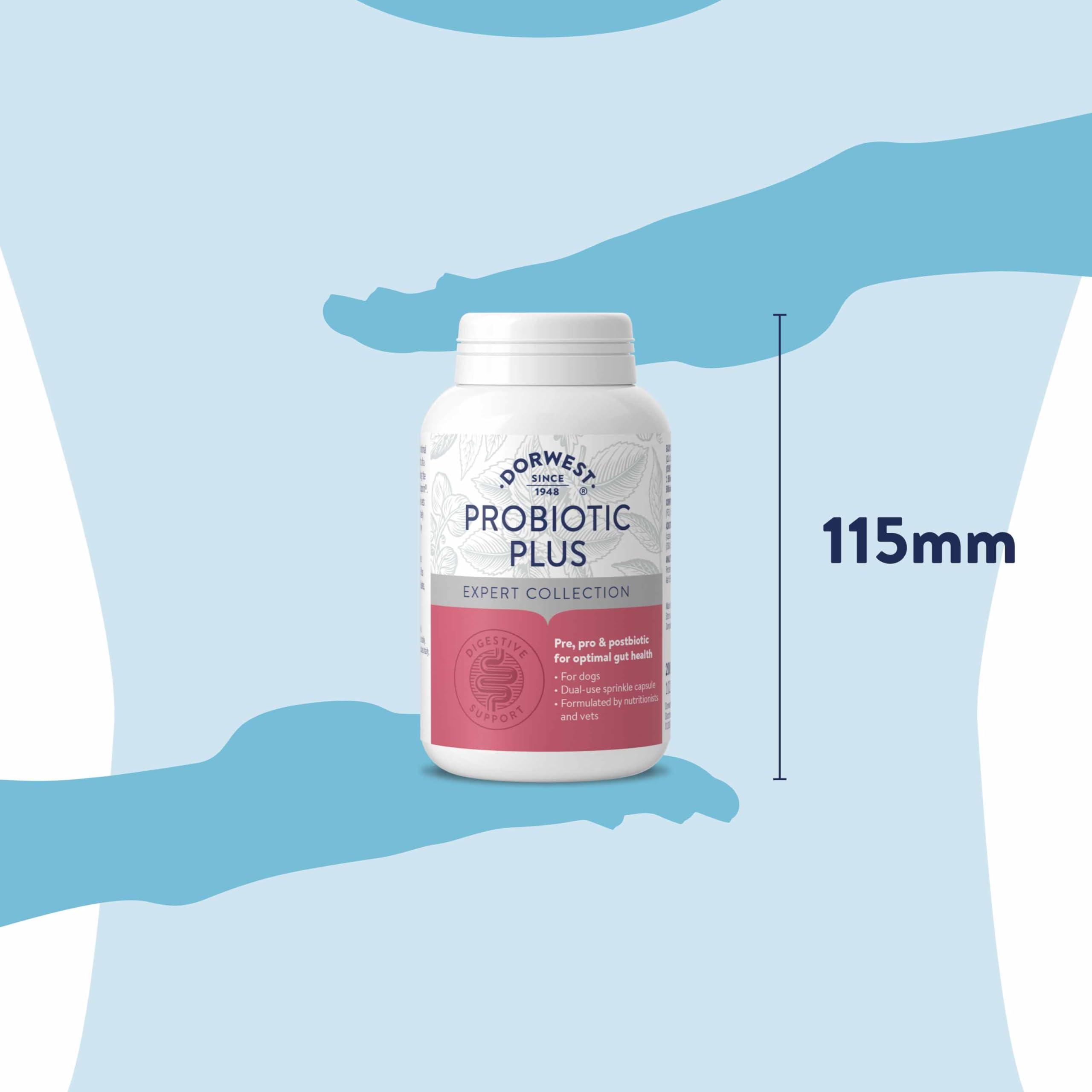 DORWEST HERBS Probiotic Plus for Dogs - Pre, Pro & Postbiotic Support | 200 Capsules