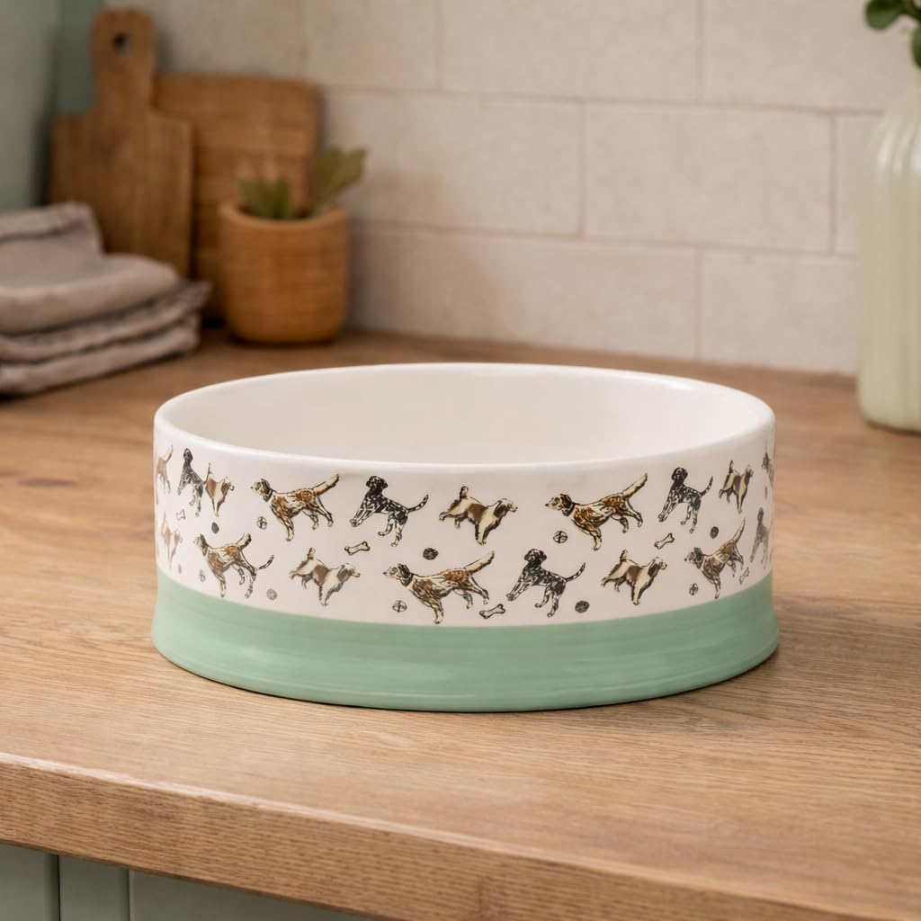 Banbury & Co Ceramic Dog Bowl - 750ml Capacity, Dishwasher Safe, Tip-Resistant 4