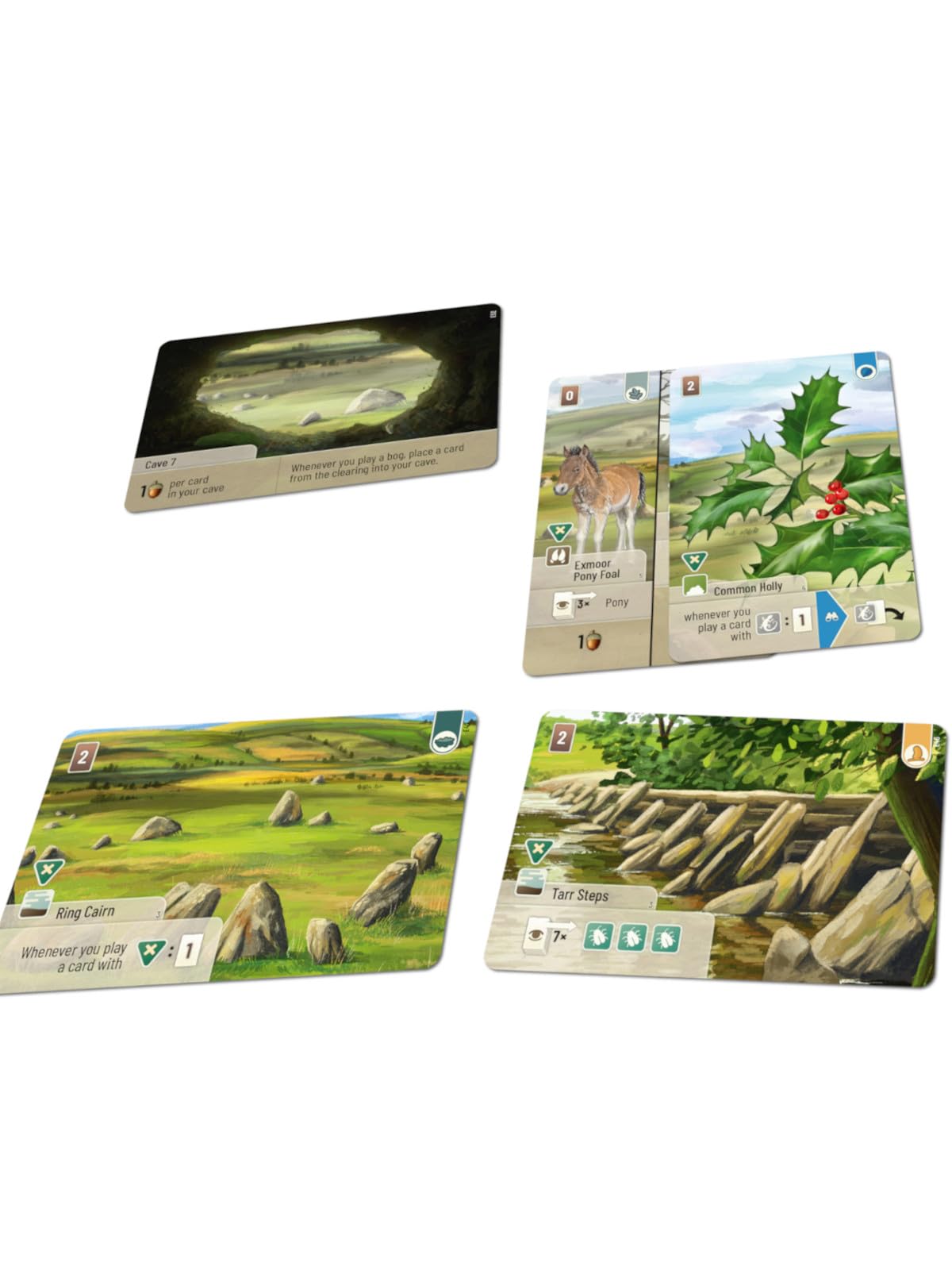 Asmodee Forest Shuffle Dartmoor: Exmoor Expansion Board Game | Ages 10+ 4