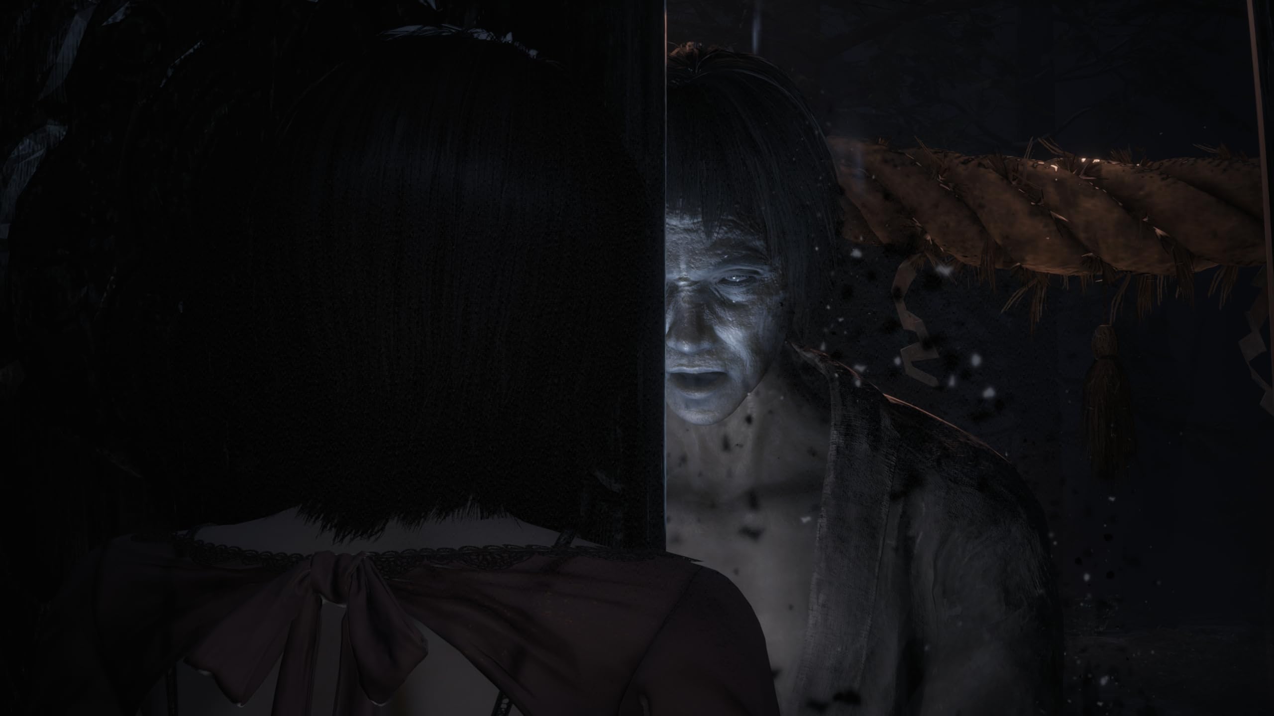 Fatal Frame II (Nintendo Switch 2)