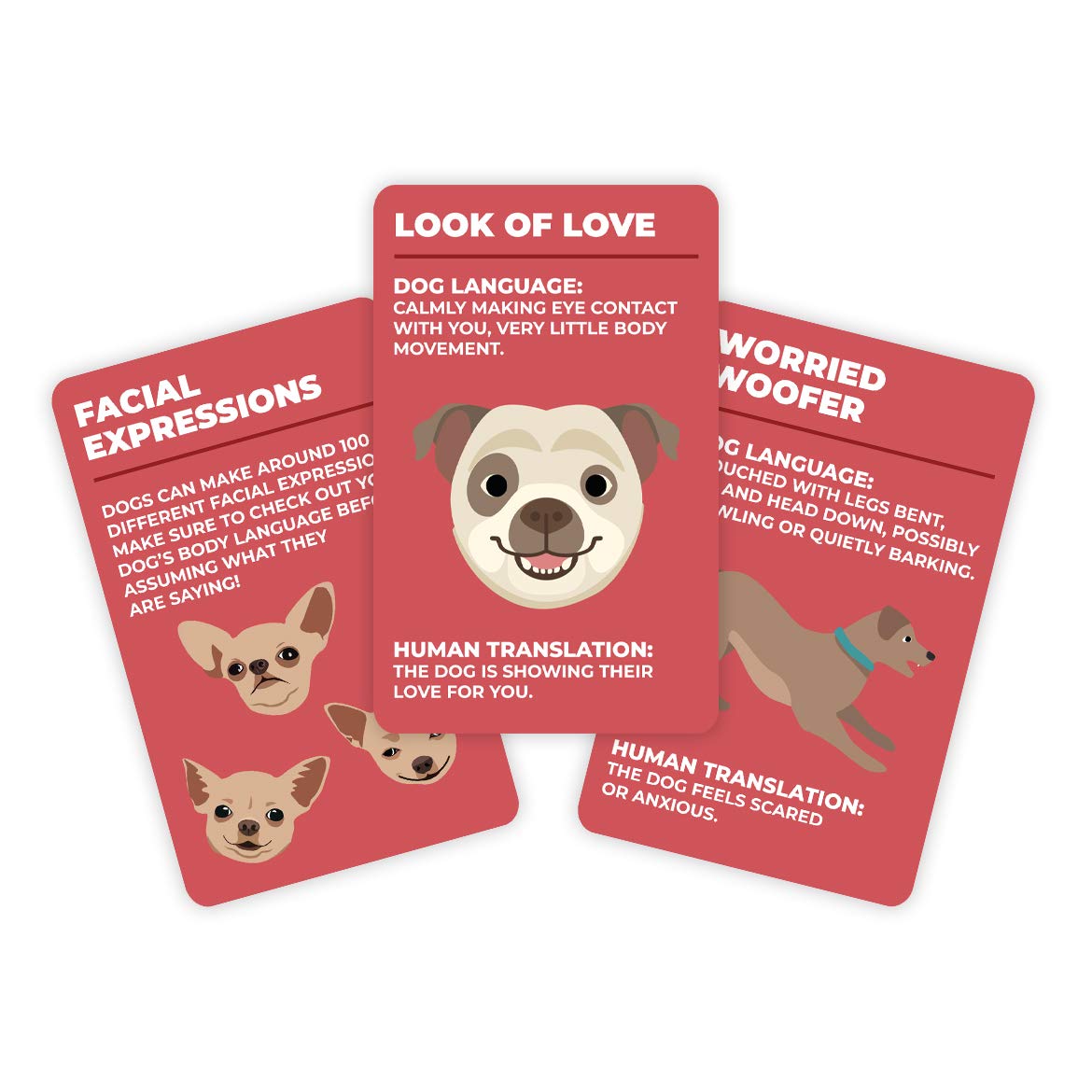 Gift Republic Dog Behaviour Cards - 100 Cards for Understanding Dog Language | Unisex Adult 3