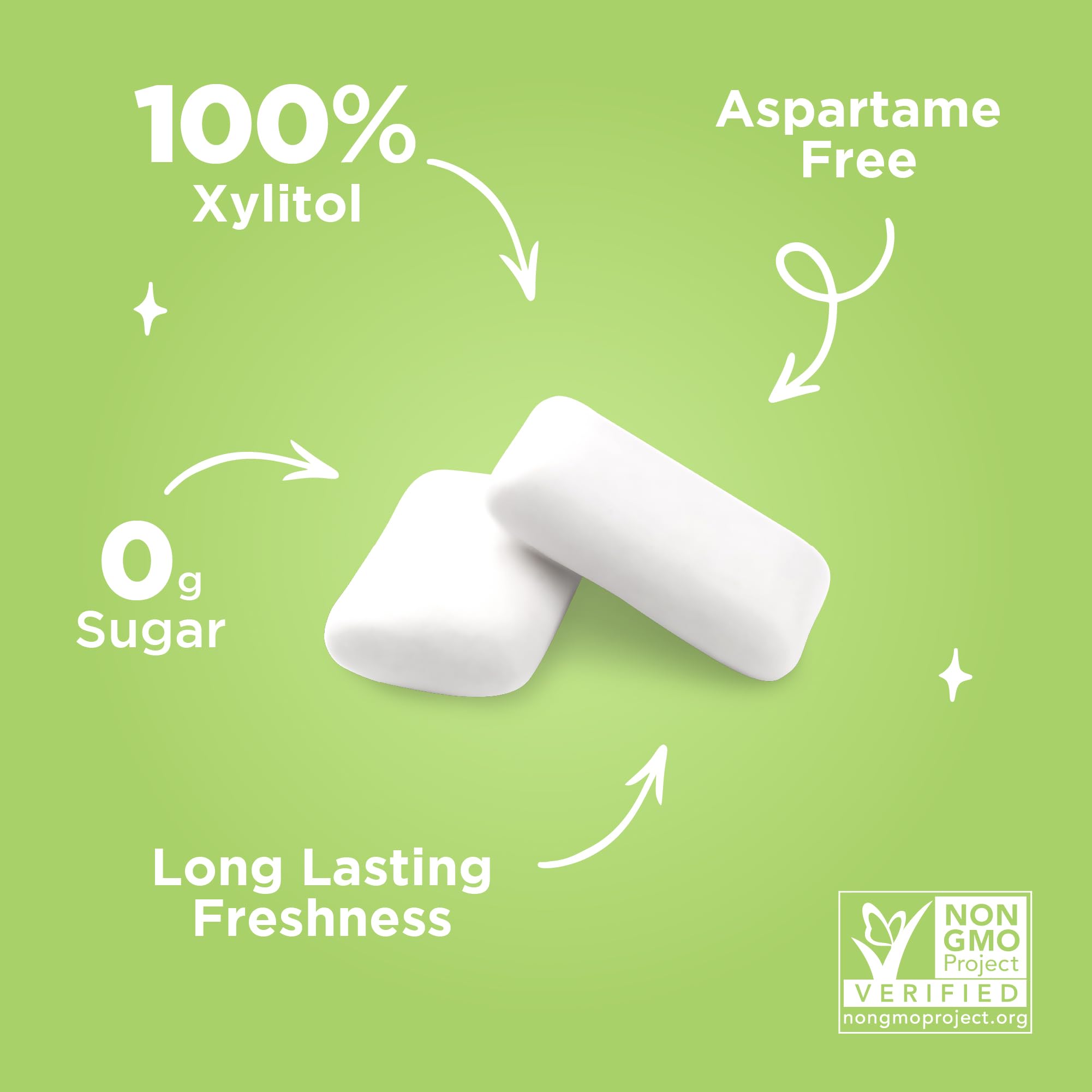 PUR - Coolmint Sugar-Free Chewing Gum (55 Pieces)