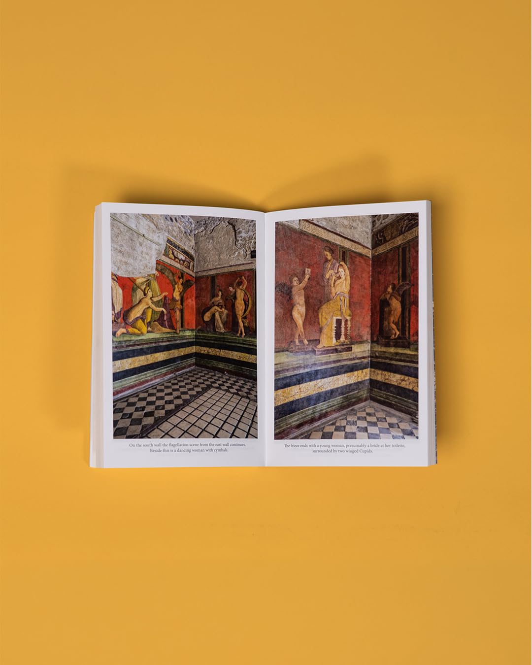 Gabriel Zuchtriegel - The Buried City: The Revelatory New History from the Director of Pompeii [Paperback] 3