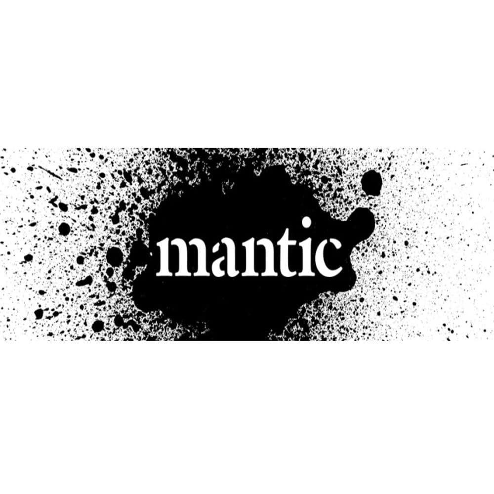 Mantic Dungeon Adventures: Heroes - 4-Pack Fantasy Action Figures 3