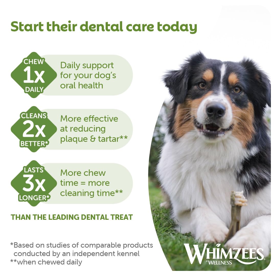 WHIMZEES Variety Box Dog Dental Sticks - Size M, 40 Count | Grain Free | Chamomile Flavor 7