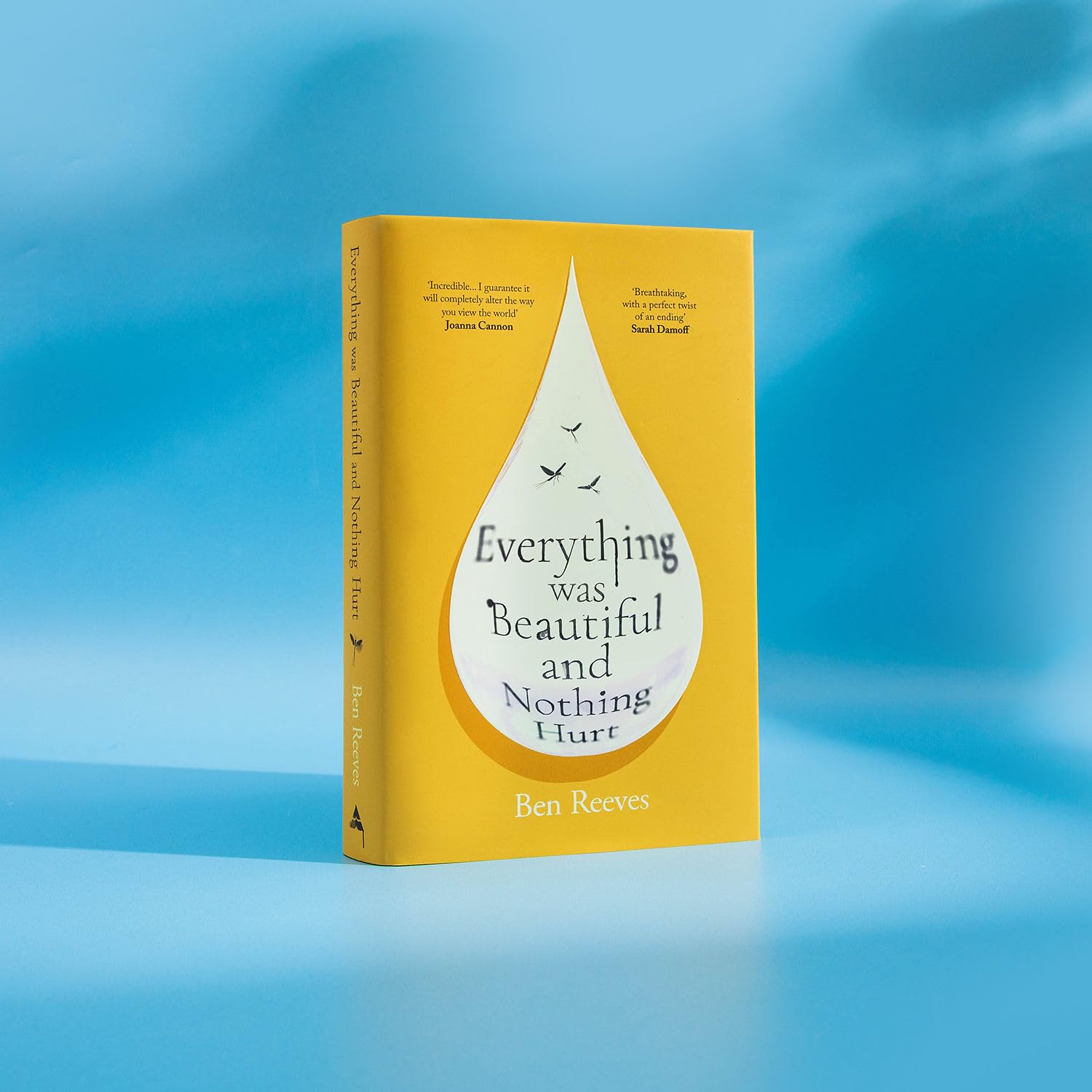 Everything Was Beautiful and Nothing Hurt: The gorgeous, uplifting top ten by Ben Reeves (Hardcover) 2