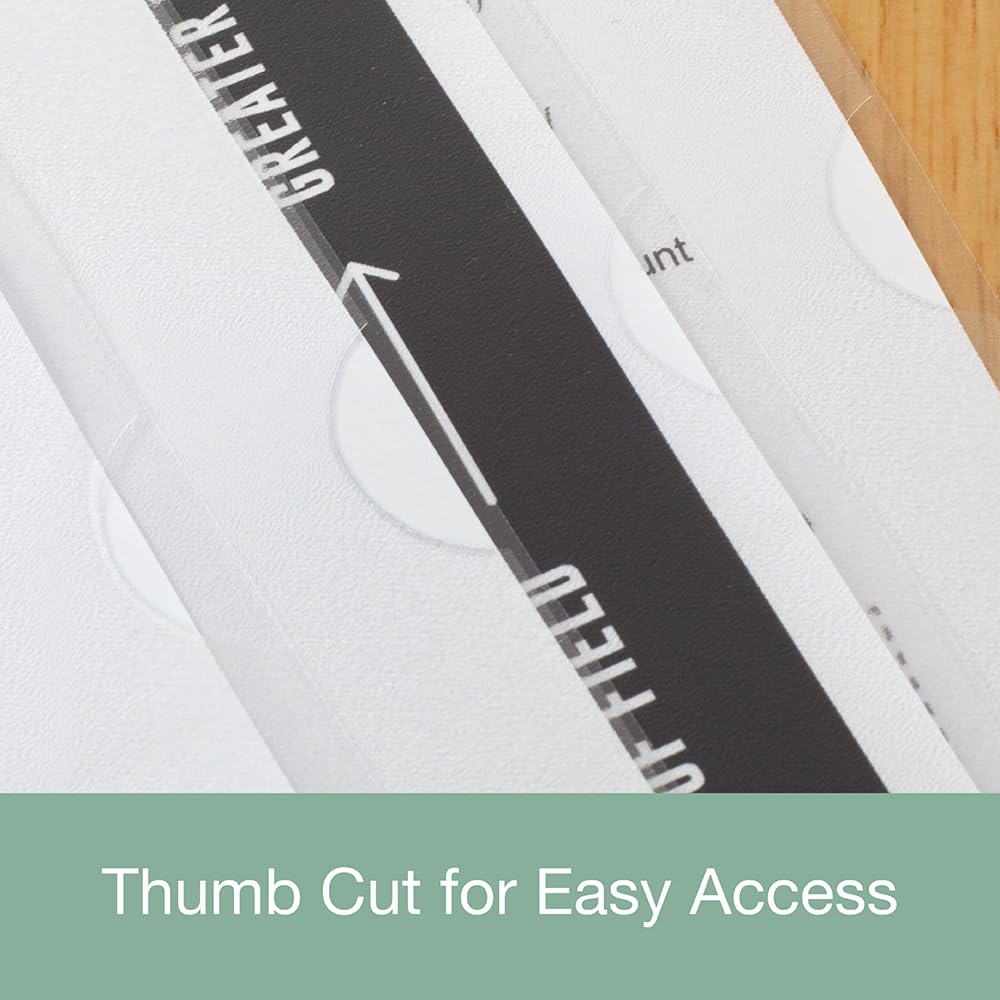 SUMMIT A4 Plastic Wallets - Pack of 100 Strong Cut Flush Folders | Clear Presentation 4