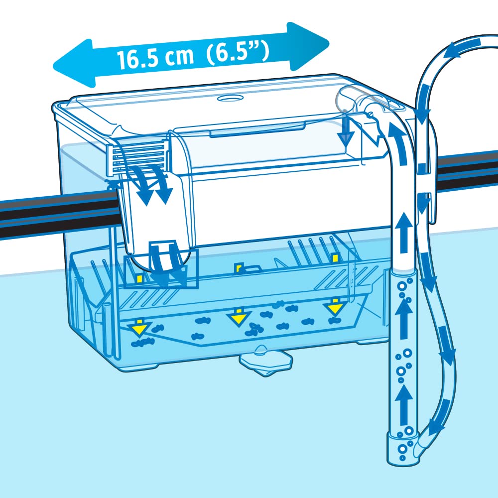 Fluval Hang-On Breeding Box - Medium Size, 1.2 Liters | Secure Isolation & Fry Separation 4
