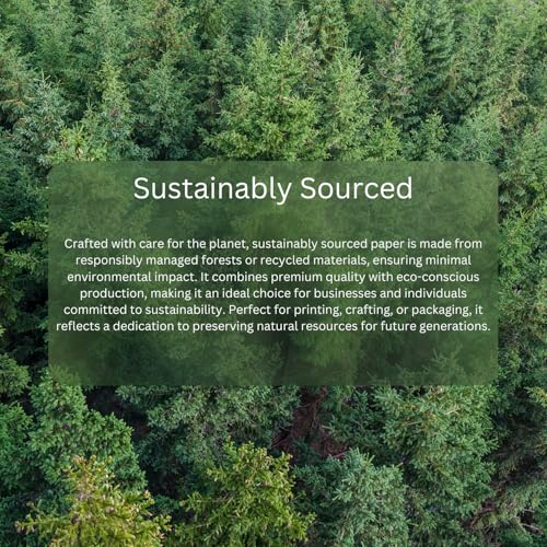 Hawksbill - A3 Black Sketchbook Hardcover Spiral 40 Sheets 150GSM Acid-Free Paper 13