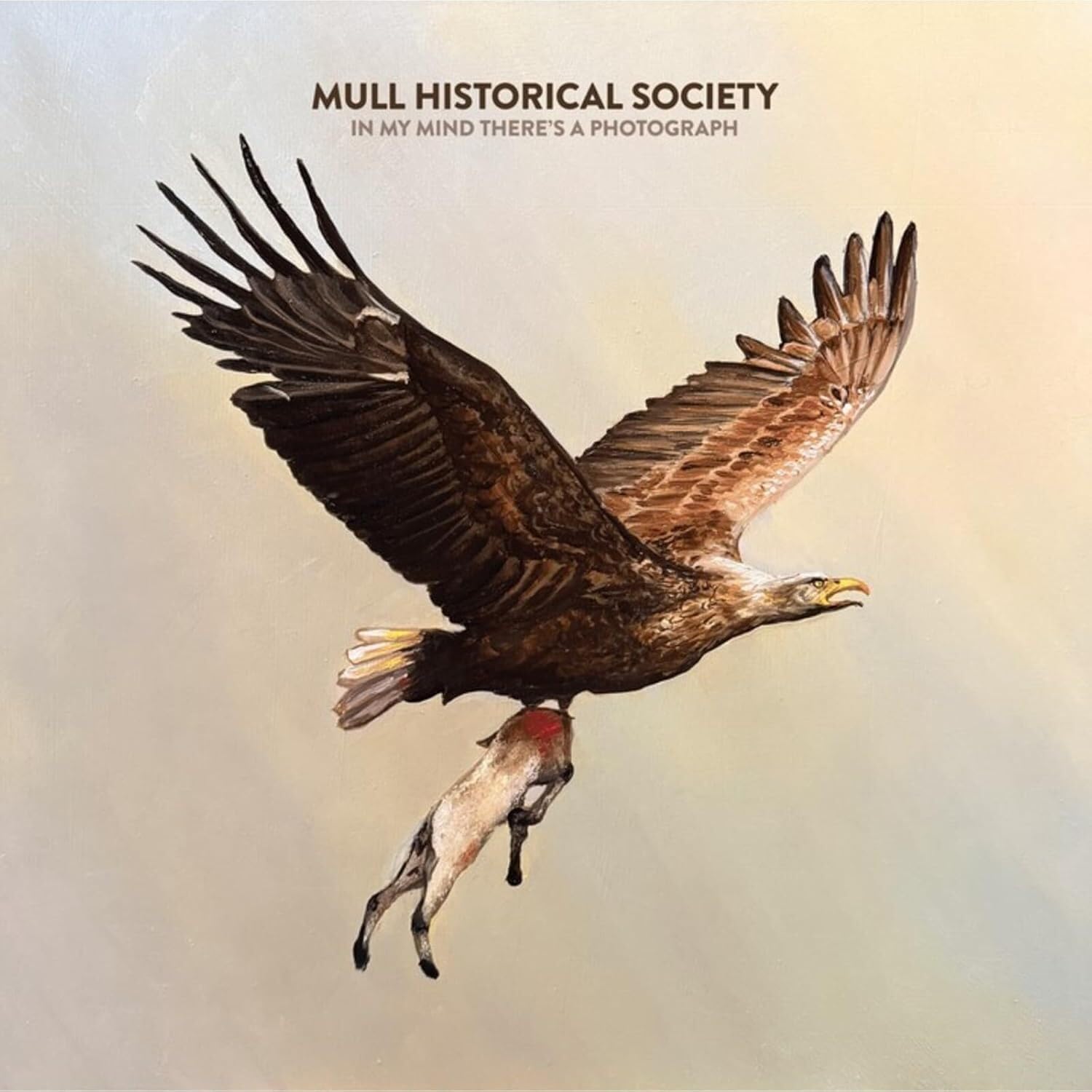 Mull Historical Society - In My Mind There's A Photograph [Vinyl] 1