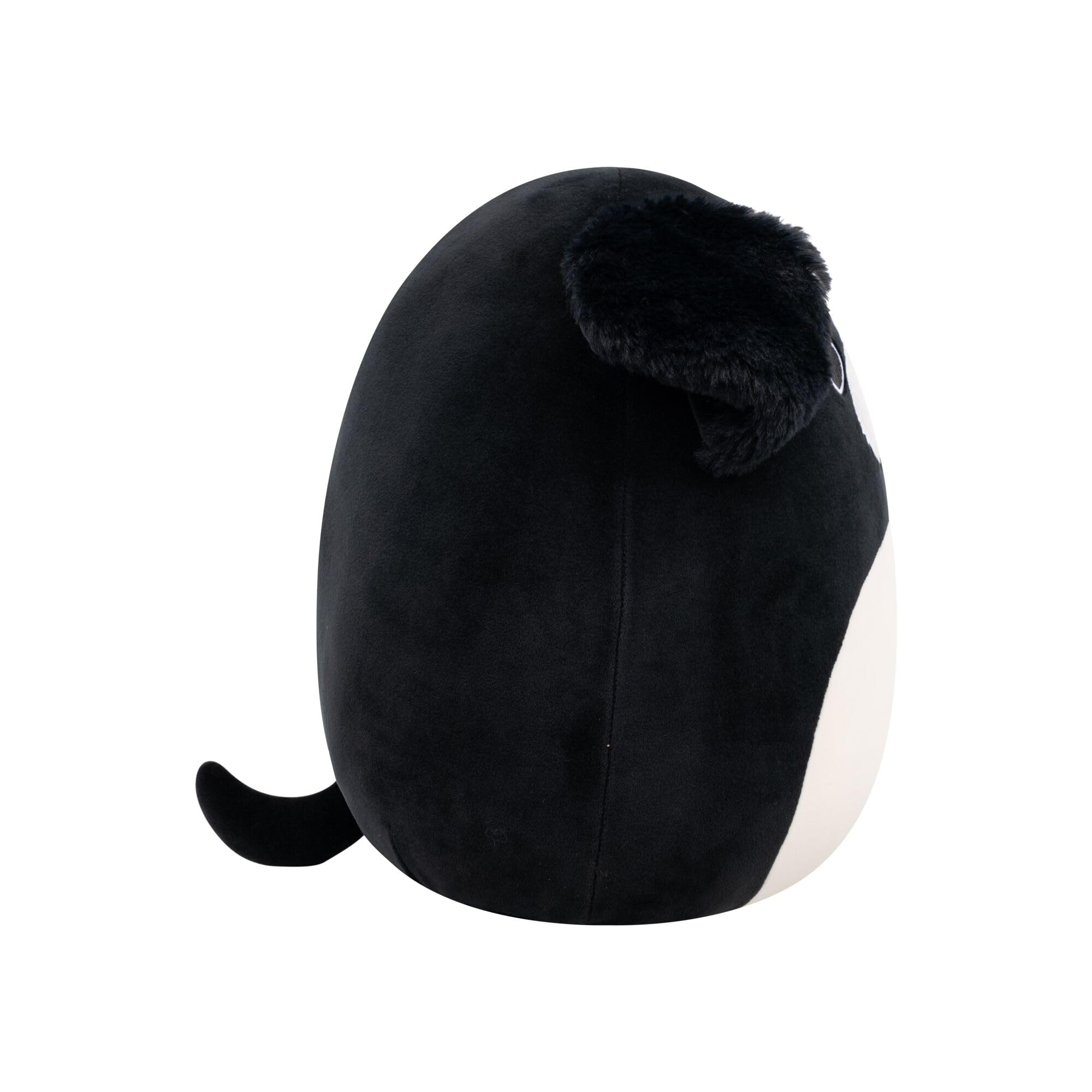 Squishmallows Paulie the Black Fuzzy Dog - 12 Inch Collectable Plush Toy for Ages 3+ 5