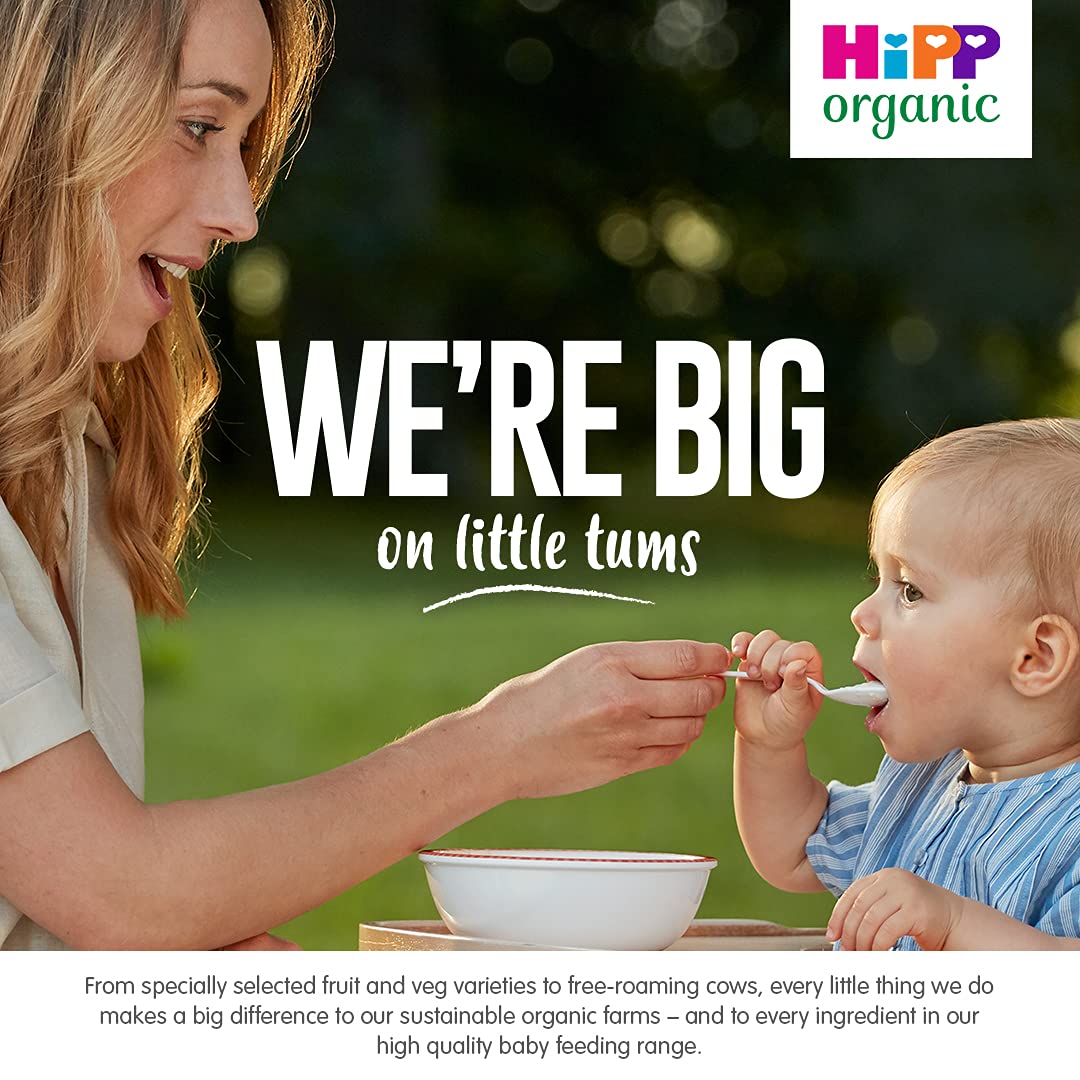 HiPP Organic Banana Rice Cereal Baby Food Jar 6+ Months (6 x 125g) 4