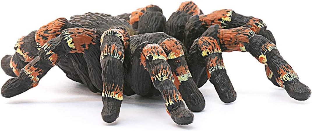 Schleich 14829 Wild Life Tarantula - Detailed Wildlife Figurine for Kids 3+ 2
