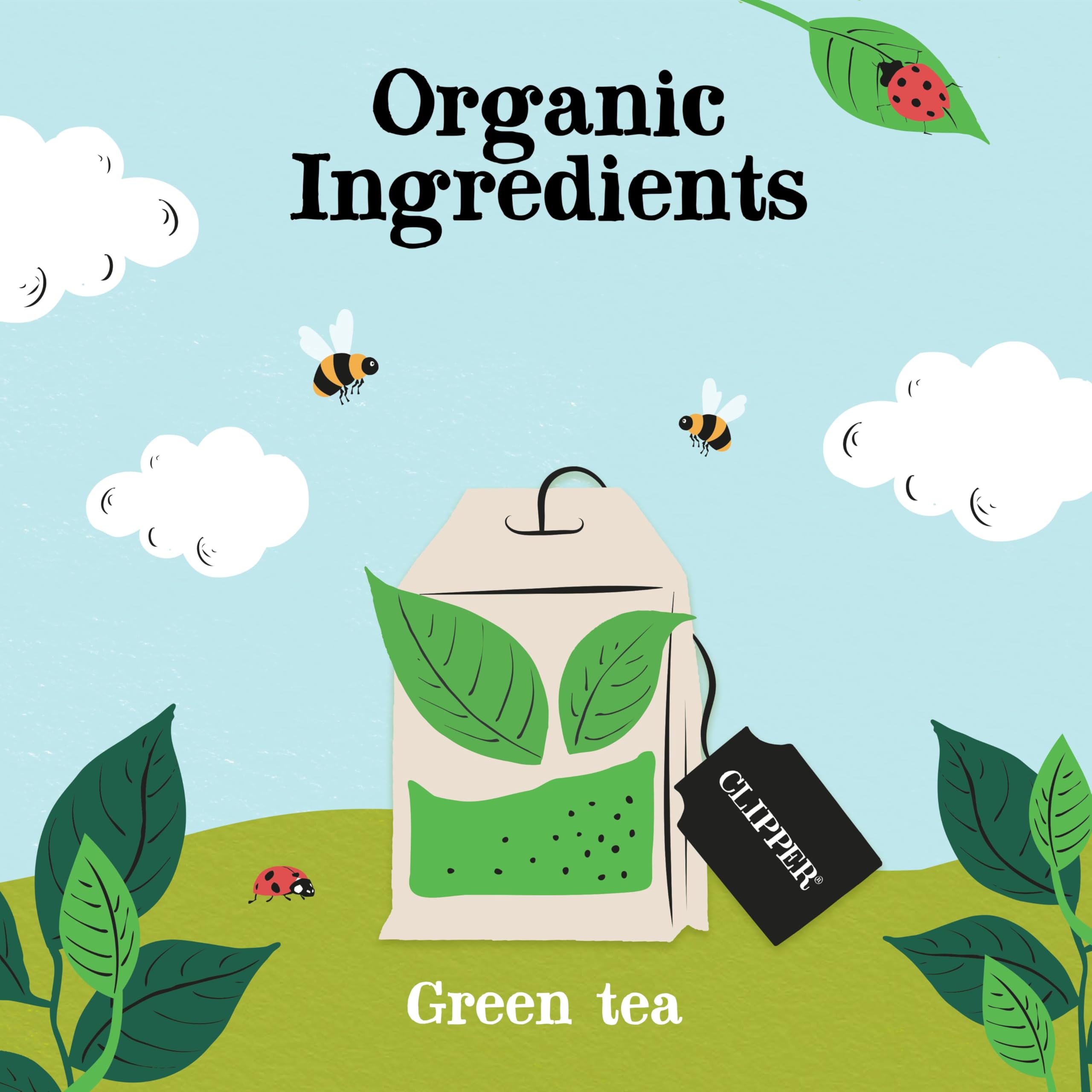 Clipper Organic Pure Green Tea Bags - 320 Bags (4 x 80) Bulk Pack, Fairtrade & Plastic-Free 9