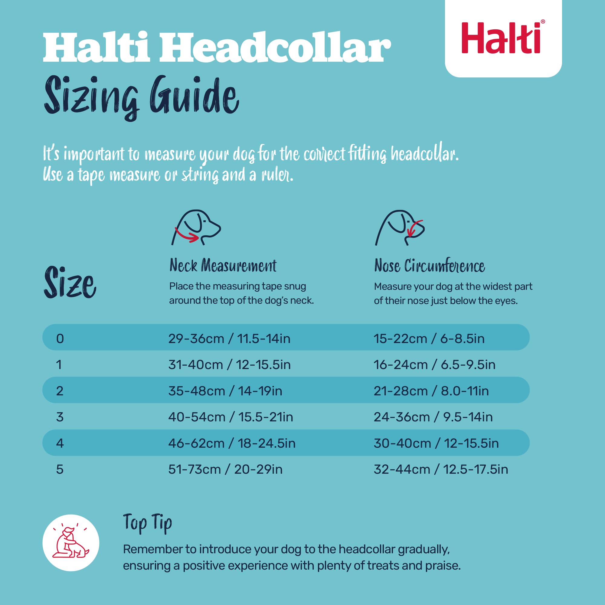 Halti Headcollar for Dogs - Stops Pulling | Size 3, Purple 5