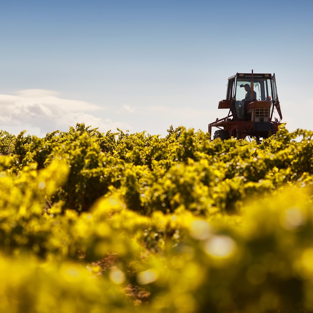 Chevalier de Altimar Prestige de Princes Chateauneuf du Pape 2023 Vintage Red Wine - 75cl with Gift Box 3