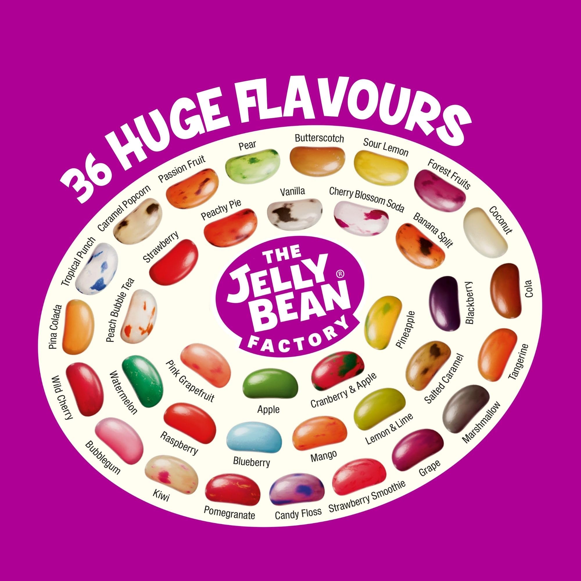 The Jelly Bean Factory Huge Flavours, 1.4kg Gourmet Jelly Beans Jar 19