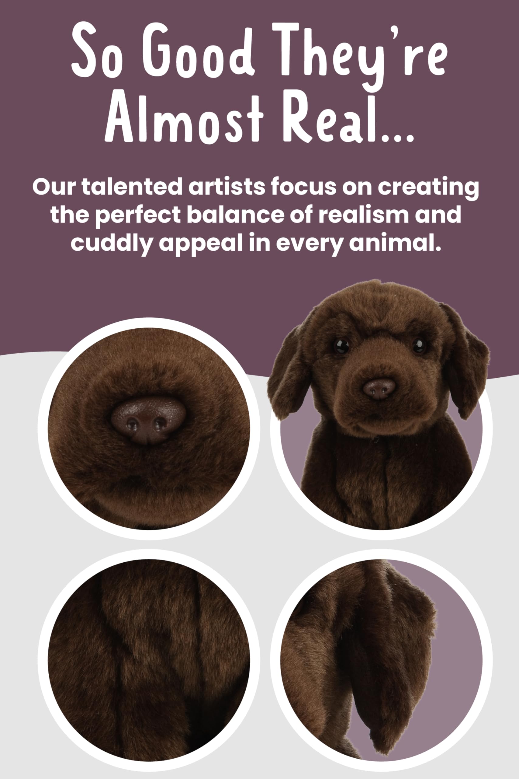 Chocolate Labrador Plush Toy - Soft Stuffed Animal for Kids & Adults, 20cm Brown 11