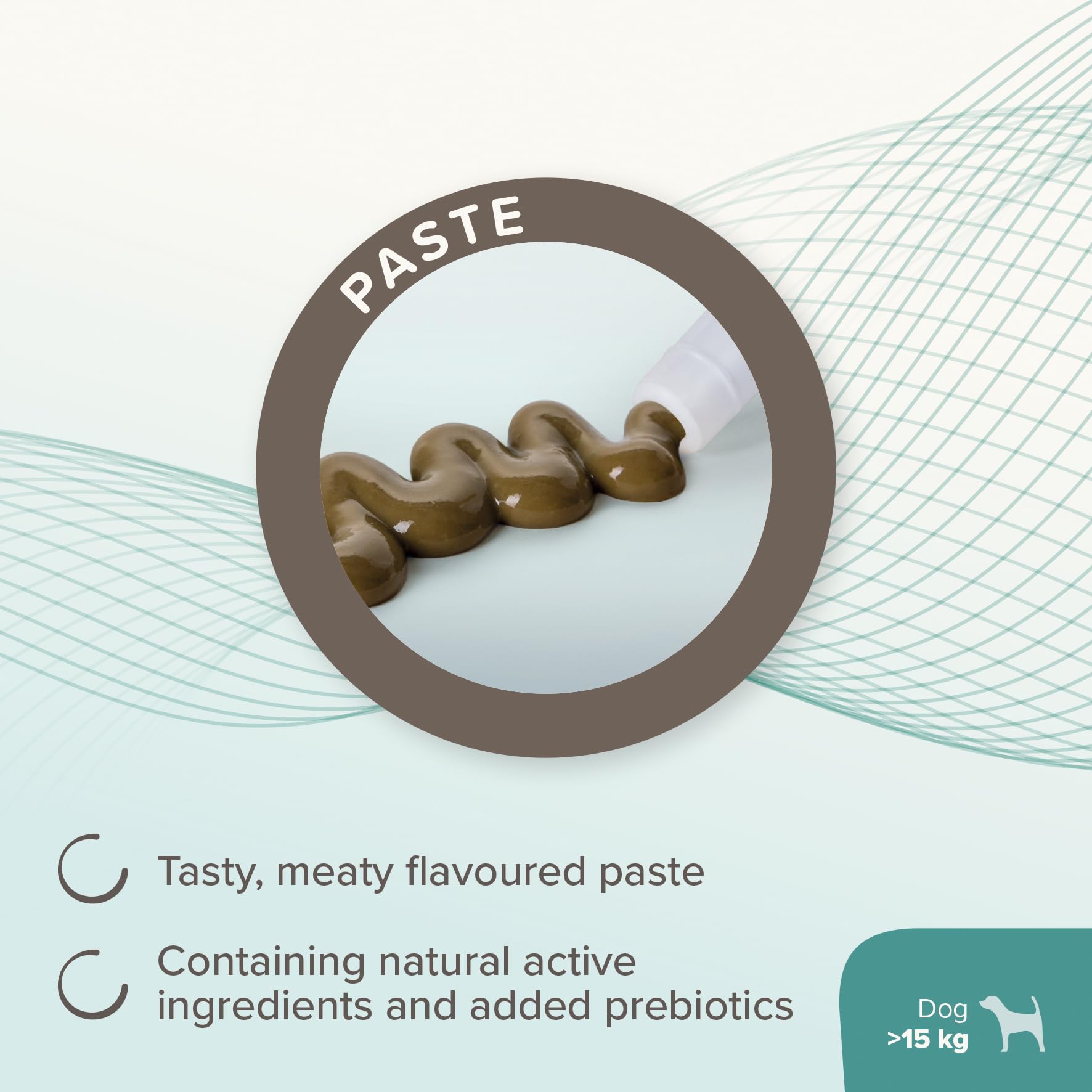 Beaphar IntestoPro Prebiotic Stool Firming Paste for Medium and Large Dogs | 2 x 20ml Tubes 4