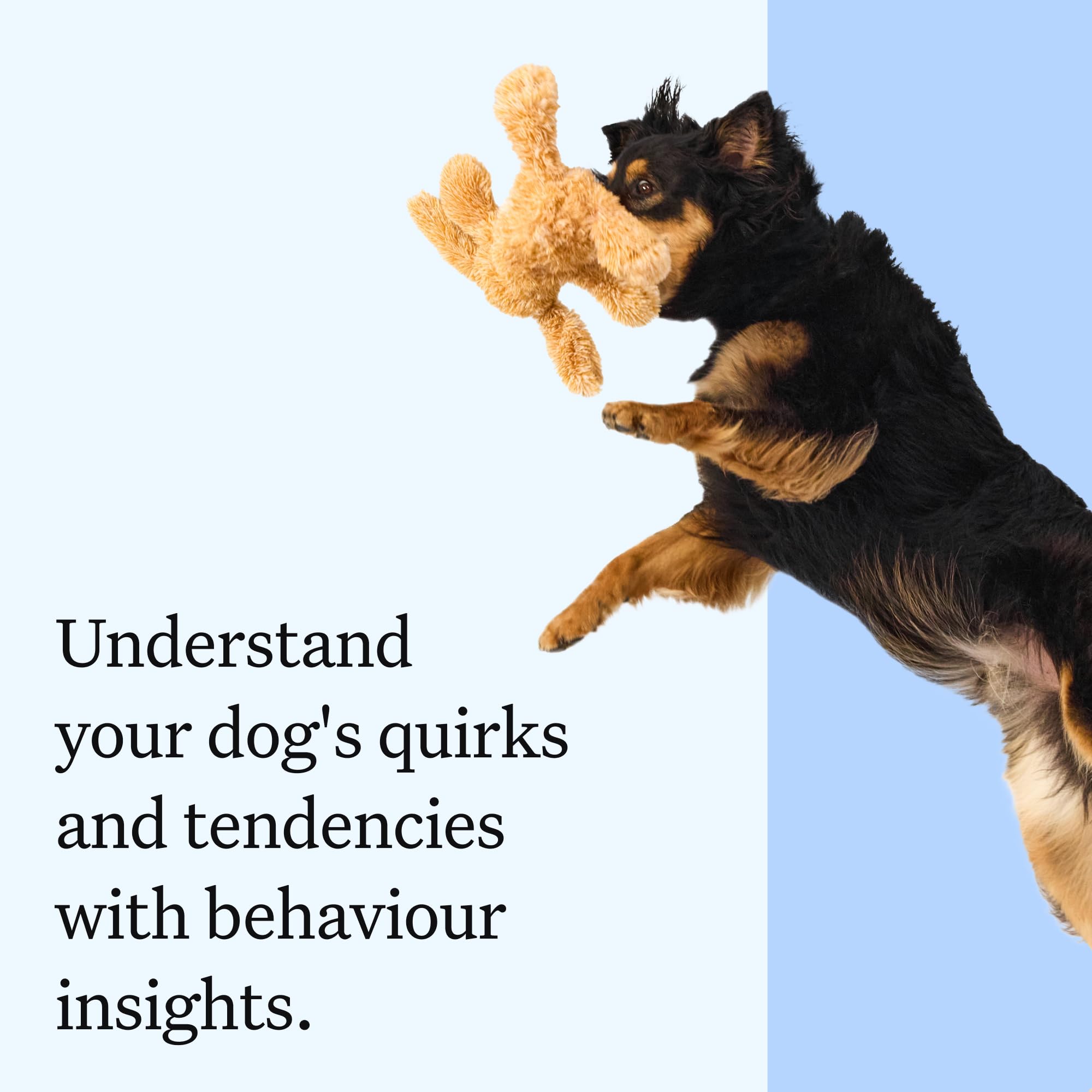 Wisdom Panel Essential Dog DNA Test Kit for Breed ID, Health Screening & Traits | 365+ Breeds 8