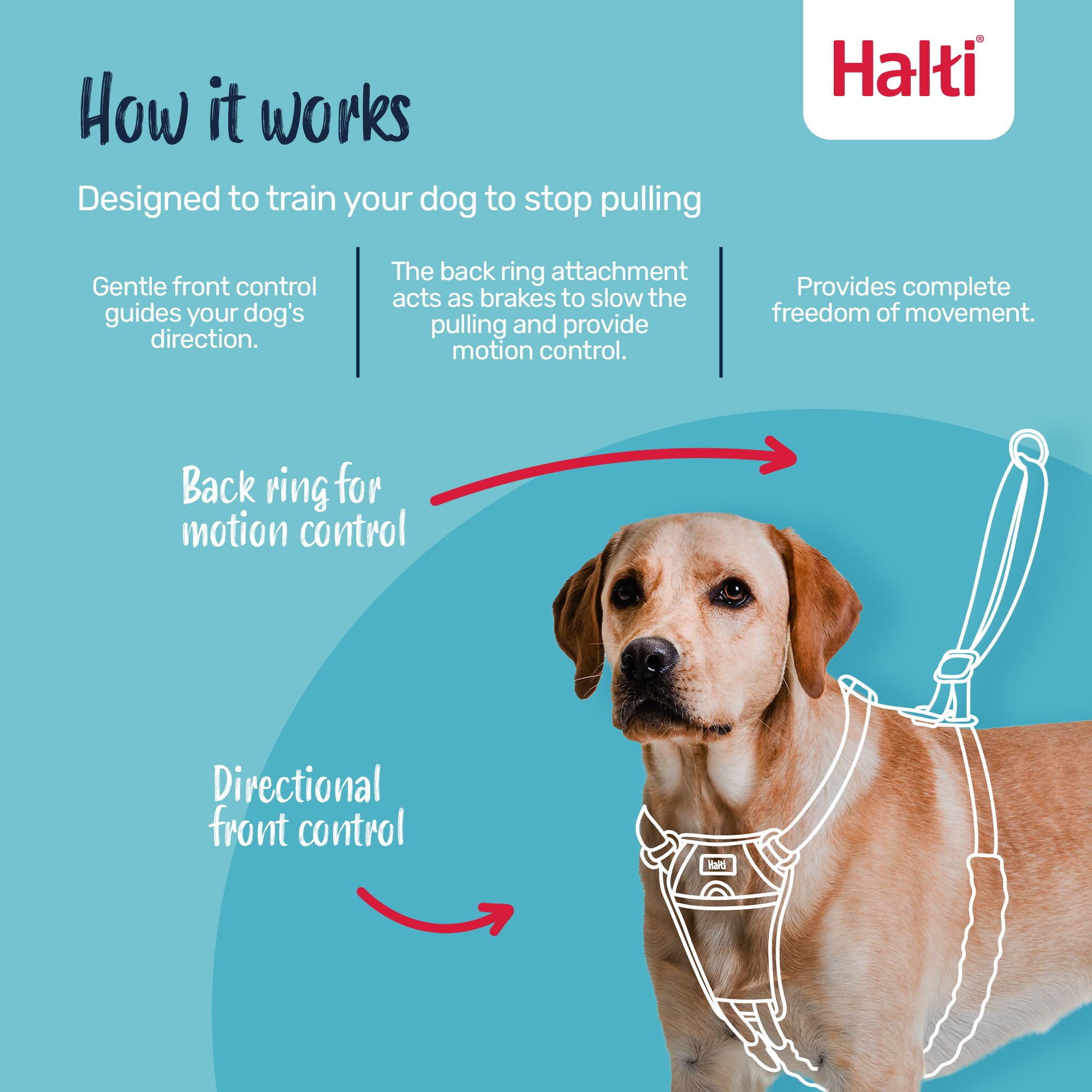 Halti No Pull Harness - Stops Pulling with Front Control Steering | Size S | Forest Green