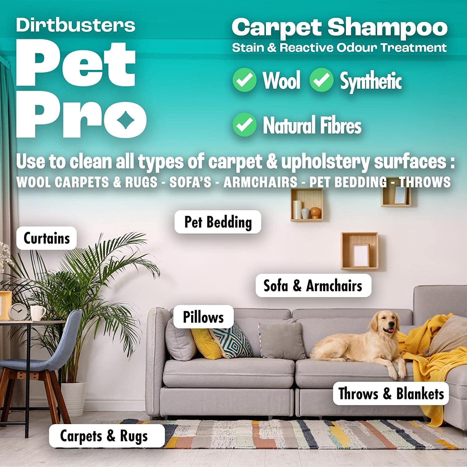 Dirtbusters - Pet Pro Carpet Cleaner Shampoo (1 Litre Concentrate) 3